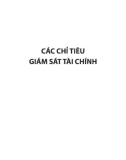 CÁC CHỈ TIÊU GIÁM SÁT TÀI CHÍNH