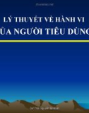 Bài giảng Lý thuyết về hành vi của người tiêu dùng - Ths. Nguyễn Sỹ Minh