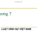 Giáo Án Pháp luật đại cương - Chương 7: LUẬT HÌNH SỰ VIỆT NAM