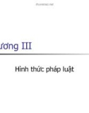 Giáo Án Pháp luật đại cương - Chương 3: Hình thức pháp luật