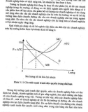 Giáo trình kinh tế vi mô part 8