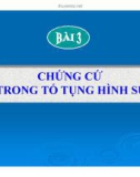 Bài giảng Tố tụng hình sự - Bài 3: Chứng cứ trong tố tụng hình sự