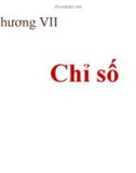 Bài giảng Nguyên lý thống kê kinh tế (ĐH KTQD) - Chương 7: Chỉ số