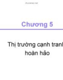 Bài giảng Kinh tế học - Chương 5: Thị trường cạnh tranh hoàn hảo