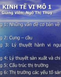 Bài giảng Kinh tế vi mô 17