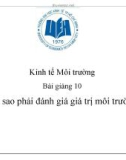 Bài giảng Kinh tế Môi trường: Bài giảng 10