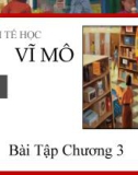 Bài giảng Kinh tế vĩ mô: Chương 3 (Bài tập) - ThS. Quan Minh Quốc Bình