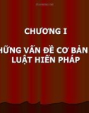 NHỮNG VẤN ĐỀ CƠ BẢN VỀ LUẬT HIẾN PHÁP