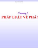 Pháp luật về phá sản