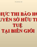 Bài giảng Chuyên đề: Sở hữu trí tuệ 2 - Thực thi bảo hộ quyền sở hữu trí tuệ tại biên giới