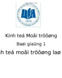 Bài giảng 1 - Kinh tế môi trường là gì