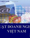 Bài giảng Luật doanh nghiệp Việt Nam: Bài 1 - TS. Bùi Quang Xuân