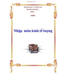 Nghiên cứu Kinh tế lượng