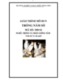 Giáo trình Trồng nấm sò - MĐ03: Trồng và nhân giống nấm