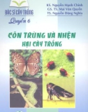 Giáo trình: Côn trùng và nhện hại cây trồng - Quyển 6 (NXB Nông Nghiệp)