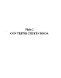 Giáo trình Côn trùng nông - lâm nghiệp (Dùng cho hệ đại học): Phần 2 - ĐH Thái Nguyên