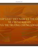 Bài giảng Pháp luật Việt Nam và thế giới về chứng khoán và thị trường chứng khoán