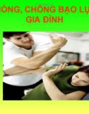 Bài giảng Phòng, chống bạo lực gia đình