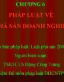 Chương 6: Pháp luật về phá sản doanh nghiệp