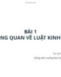 Bài giảng Lý luận pháp luật: Bài 1 - TS. Vũ Phương Đông