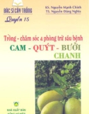 Hướng dẫn cách trồng và chăm sóc cam - quýt - bưởi - chanh