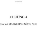 Bài giảng Giá cả và marketing nông nghiệp