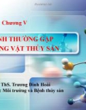 Bài giảng Bệnh học thủy sản: Chương 5.1 - Ths. Trương Đình Hoài