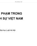 Bài giảng Luật Hình sự: Bài 2 - ThS. Lưu Hải Yến