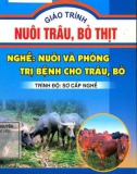 Giáo trình Nuôi trâu, bò thịt (Nghề: Nuôi và phòng trị bệnh cho trâu, bò): Phần 1