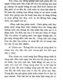 Kỹ thuật trồng, chiết, ghép, giâm cành Hoa hồng part 8