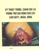 Kỹ thuật trồng, chăm sóc và phòng trừ sâu bệnh cho cây câ quýt, nhãn, hồng