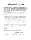 Trồng lan dễ hay khó