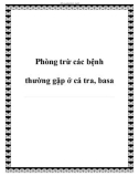 Phòng trừ các bệnh thường gặp ở cá tra, basa