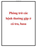 Phòng trừ các bệnh thường gặp ở cá tra, basa