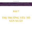 Bài giảng Kinh tế học vi mô (TS Trần Thị Hồng Việt) - Bài 7: Thị trường yếu tố sản xuất