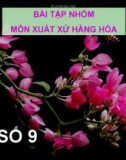 BÀI TẬP NHÓM MÔN XUẤT XỨ HÀNG HÓA (BÀI SỐ 9)