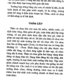 Kỹ thuật trồng cà chua quanh năm part 2