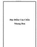 Đặc Điểm Của Chồn Nhung Đen