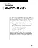 Microsoft PowerPoint 2002