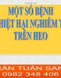 Bài giảng Một số bệnh gây thiệt hại nghiêm trọng trên heo - Trần Tuấn Sang