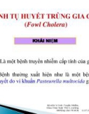 Bài giảng Bệnh tụ huyết trùng gia cầm