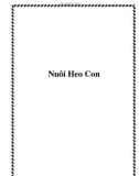 Nuôi Heo Con