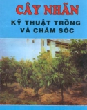 Kỹ thuật trồng và chăm sóc Cây nhãn: Phần 1