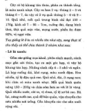 Kỹ thuật trồng cây ăn quả hiệu quả kinh tế cao tập 2 part 4