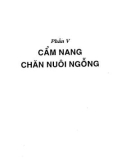 Cẩm nang chăn nuôi ngỗng