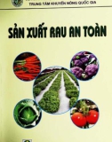 Công nghệ Sản xuất rau an toàn