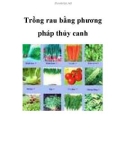 Trồng rau bằng phương pháp thủy canh