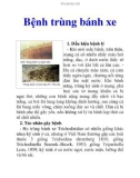 Bệnh trùng bánh xe