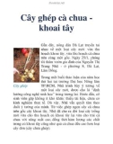 Cây ghép cà chua khoai tây