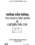 Kỹ thuật trồng, thu hoạch, bảo quản và chế biến trái cây